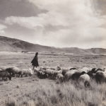 On the Bolivian Altiplano