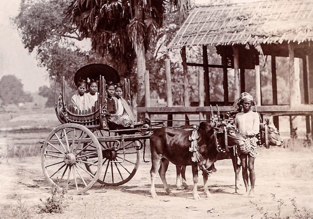 Burmese Carriage (Date unknown)