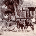 Burmese Carriage