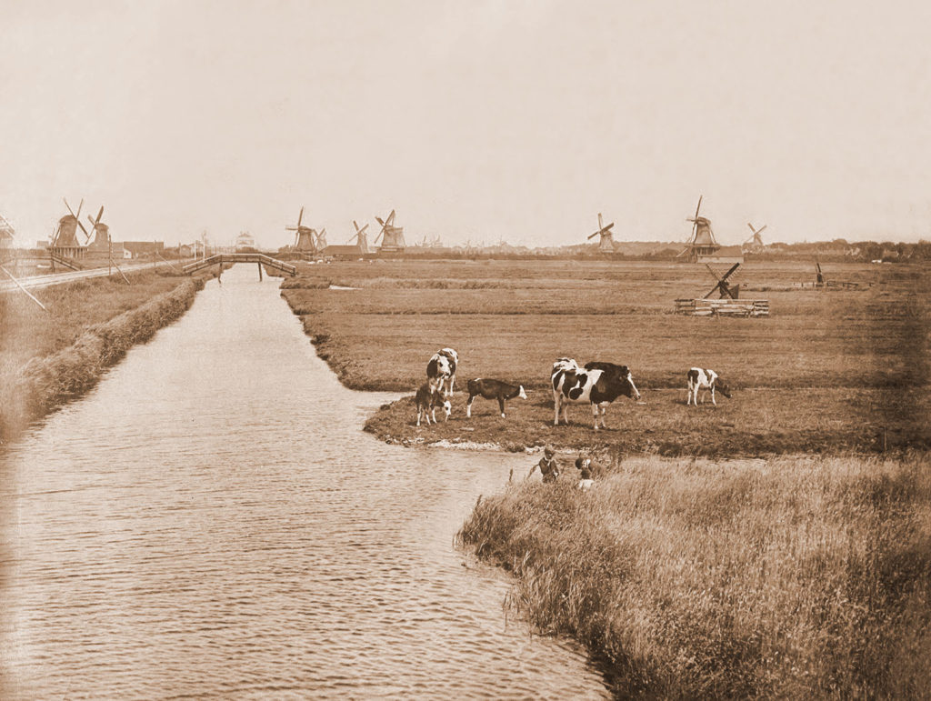 Windmills and Grazing, Netherlands (Late 19th century?)